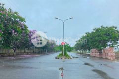 Bán 80m2 trục chính tái định cư ngọc động, đa tốn, gia lâm ngay sát vách vin safari.