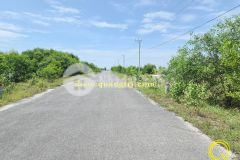 Khu du lịch sinh thái trằm trà lộc, hải lăng, quảng trị