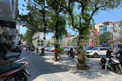 Nhà mặt phố trần khát chân, 418m2, mt 8m, giá 318 triệum2, 0985868893