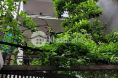 Bán biệt thự xuân đỉnh thông ra noại giao đoàn. gara ô tô. dt 111m. mt 6m. giá 10.5 tỷ