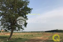 Đất mặt tiền đường 74 gio linh, quảng trị