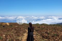 Mảnh đất gần 800m2 có vị trí săn mây siêu vip tại trung chải