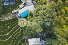 Mảnh đất gần 200m2 tại trung tâm y tý có giá đẹp phù hợp cho các nhà đầu tư