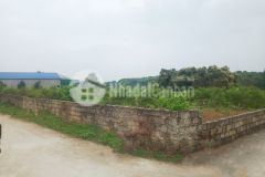 Đất thọ bình cần bán gấp 21m mặt tiền