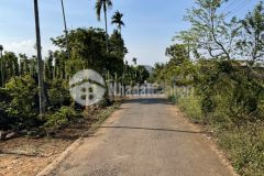 D390vpt đất cao thắng xã eakao bao giá rẻ toàn khu vực cách trục chính ywang tầm 100m