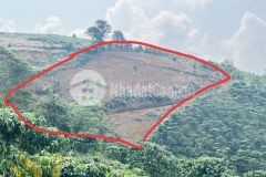 Kẹt tiền bán 3.5 sào đất view tuyệt đẹp tại xã đại lào, bảo lộc, 900trsào. lh0934030490