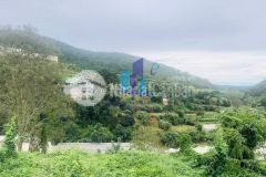 6 tỷ giảm còn 4.2 tỷ đất diện tích lớn view rừng thông ngay phường 10