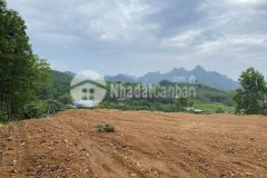 Cần bán gấp lô đất dt gần 6500m2 phù hợp để làm nghỉ dưỡng mà giá chỉ có 2,8 tỷ