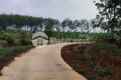 Cần ra nhanh lô đất 1hecta cận hồ