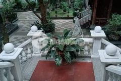 Biệt thự 1000m ở long biên cần bán, an sinh tuyệt vời, sân vườn, cây xanh, và ngôi nhà toàn gỗ quý,