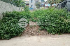 Bán đất thị trấn triệu sơn phố lê lợi