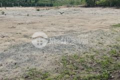 Lô 2 nguyễn chí thanh tân bình lagi 2,7 sào 4.5 tỷ