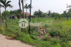 1 lô đẹp tại lâm lang, xã cam thủy,huyện cam lộ