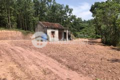 Siêu phẩm ô đất diện tích cực khủng tại vân đồn, quảng ninh giá cực hợp lý dành cho các nhà đầu tư