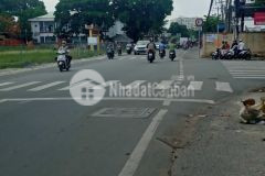 Nhà cấp 4 mặt tiền kinh đường 17 đối diện cao đẳng ktđn, p. phước bình, quận 9, 88m210.95 tỷ.