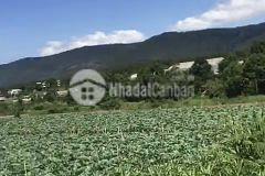 Bán hơn 2 sào 1 tại lạc xuân, đơn dương giá 1.32 tỷ