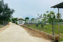 60m ngang đất thôn 2 ngay ubnd diên đồng diên khánh chỉ 3.2triệum2