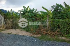 Đất xuân thới sơn, hóc môn, giá rẻ, 500m2 chỉ 11.5 tỷ tl.