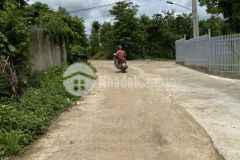 D392 bán đất siêu đẹp tại eana krông ana giá đầu tư