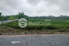 Bán đất giãn dân 140m. mặt đh31, đông trung tiền hải. 2,5km ra cao tốc. gía 7,8trm2.