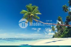 Mở bán dự án venezia beach mang phong cách italia