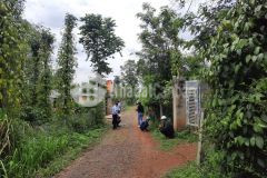 D394vpt chủ kẹt tiền cần bán 3 lô đất liền kề eakênh huyện krôngpăk bao giá rẻ