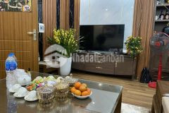 Bán nhà hồng tiến long biên 42mx5t giá 4.06 tỷ cần tiền gấp