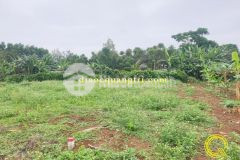 Chỉ 5xx quý khách đã sở hữu lô đất cực đẹp tại hải thái gio linh cực đẹp.