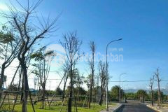 Gấp gấp gấp cần tiền nên ra nhanh lô đất nền biển quy nhơn bình định.