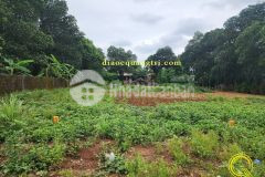 Mua bán đất mặt tiền ql 1a phong bình gio linh