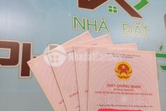 Bán nhanh lô góc 105m tân thành, dương kinh, hải phòng