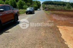 Bán đất sào đất rẫy chư pưh, gia lai giá rẻ, gần 1,3hec, chỉ có 73 triệusào