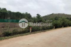 Bán 7105m2 đất thị trấn hương khê hà tĩnh, mt cực rộng 82,4m, chỉ 5.6 tỷ. lh0974298558, 0913162287