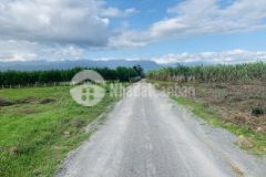 Cần bán lô đất ninh xuân, ninh hoà cách dt5 200m