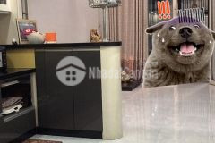 Bán gấp nhà mới tân bình 40m2, 4 tầng btct, chỉ 5 tỷ 3, còn tl mạnh