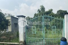 Đất thổ vườn đường cây trôm mỹ khánh 210m2 giá 1ty2 cần bán nhanh