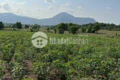 Kp 4 tân nghĩa 3 mẫu 8 tỷ 2 mặt tiền