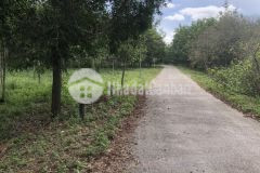 Suối kiết tánh linh 14 mẫu mặt đường nhựa 25 tỷ