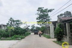 Bán đất tại triệu giang đường rộng 26 m