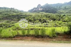 Mảnh đất diện tích rộng tại quản bạ thích hợp đón sóng cao tốc tuyên quang hà giang