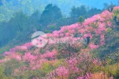 Đất hà giang mặt tiền rộng, view núi, sông.