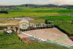 Chủ bán gấp lô đất 552m, tc 100m2 tại phước long thọ đất đỏ