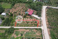 Bán đất vân sơn triệu sơn giá chỉ 310trlô