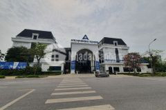 Bán đất cổ dương, tiên dương, đông anh, 2 mặt thoáng sát trục đường ô tô tránh, 83m.