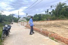 The rose điện hồng điện bàn 36 lô chỉ từ 4trm2, nhiều lô liền kề, cơ sở hạ tầng hoàn thiện.