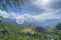 Lô đất diện tích rộng gần 4000m2 ở thôn ngải thầu, y tý giá đẹp cho nhà đầu tư