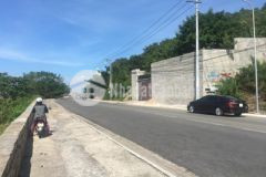 Chính chủ cần bán gấp 2000m2 đất đẹp view biển bãi trước vũng tàu 55trm2