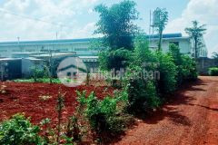 Bán đất chính chủ ngay hồ suối môn, giá chỉ 5.3trm2