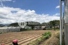 Chính chủ cần bán gần 1ha đất ngay trung tâm lạc lâm, đơn dương