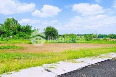 Chính chủ muốn bán vài lô đất sát chợ, ngay cổng kcn bàu xéo, sổ sẵn, full thổ cư